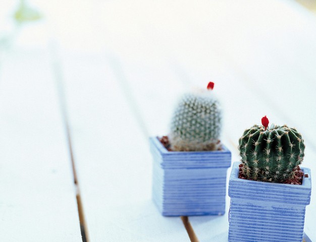 禮品企業開發三四線市場要“入鄉隨俗”