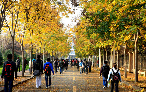 高校如何培養會展人才