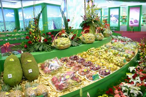 農民油畫首次亮相2013海南“冬交會”