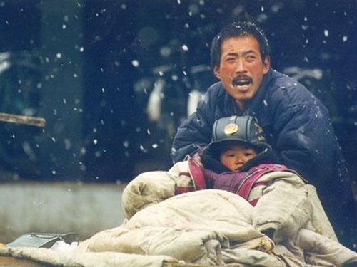 父愛如山，送什么花給父親？