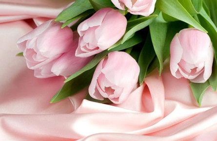 如何制定企業(yè)節(jié)日福利禮品方案