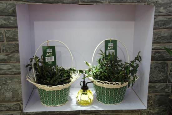 吃穿用住一展打盡 2014上海禮品展詮釋溫馨家庭世界