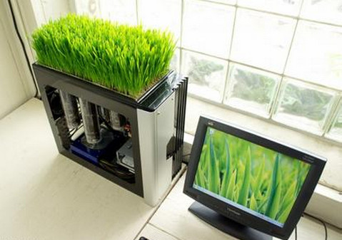 工作不開心？辦公室里放盆花吧