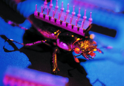 單片機定制設計時代來臨