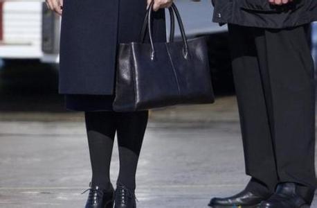 第一夫人彭麗媛緣何青睞廣東箱包品牌？