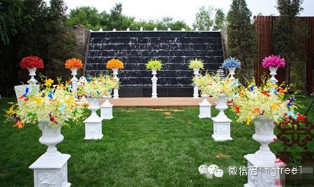 【七色花】一瓣一瓣的美麗，一瓣一瓣的夢想