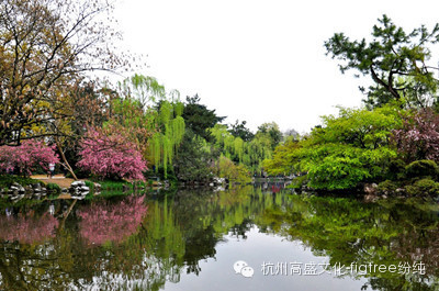 看！那些縈繞在美頸云肩邊的西湖美景（三）