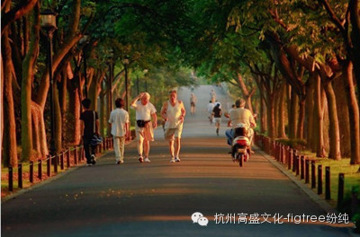 看！那些縈繞在美頸云肩邊的西湖美景（三）