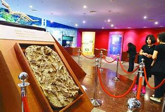 上海科普展“藝術(shù)營養(yǎng)”有待加強