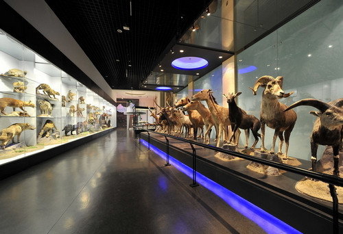 博物館扎推獻出“文化大餐”