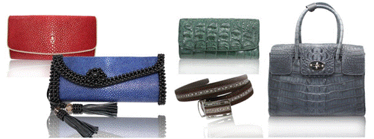 禮品家居新勢力 時尚鮮活青春范兒