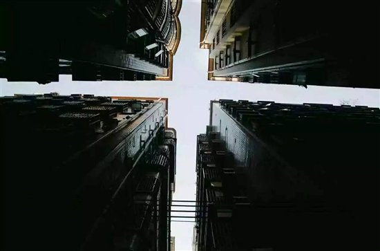 它們和人一樣，其實都需要更好的家