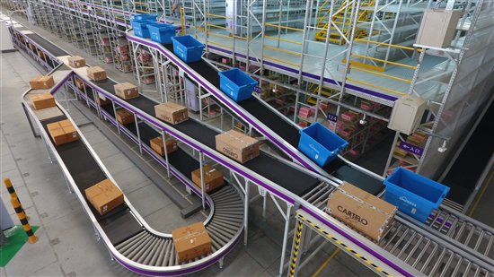 它們和人一樣，其實都需要更好的家