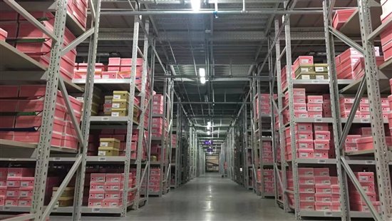 它們和人一樣，其實都需要更好的家